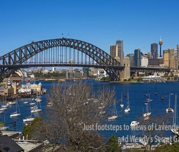 Lavender Bay - Photo 2