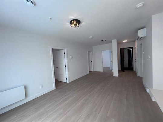 430 Boul. du Bord de l'Eau - Photo 1