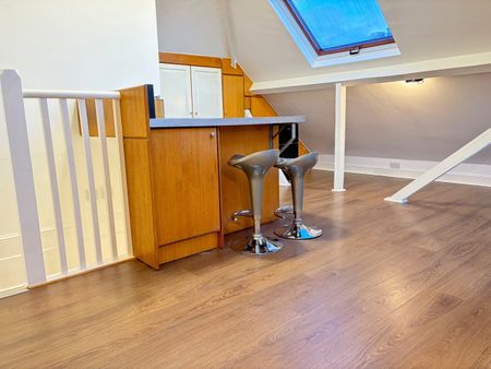 Studio Flat, Very Near Gunnersbury Gardens Area, W3 - Photo 2