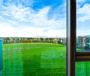 Rosanule, Phoenix Park Racecourse, Castleknock, Dublin 15, D15 K791 - Photo 4