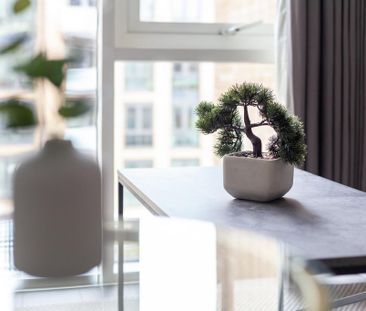 Studio to rent - Photo 6