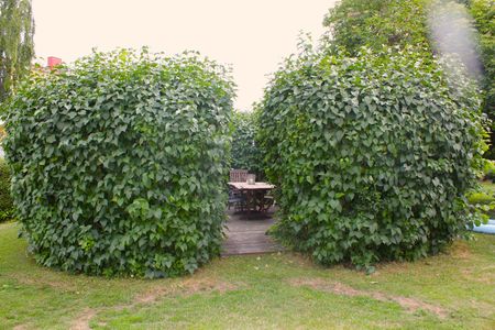 Järnvägsgatan 42 - Photo 4