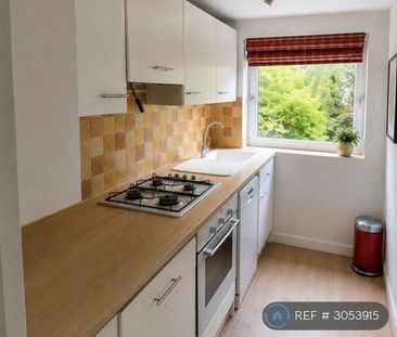 1 bedroom semi-detached house to rent - Photo 4