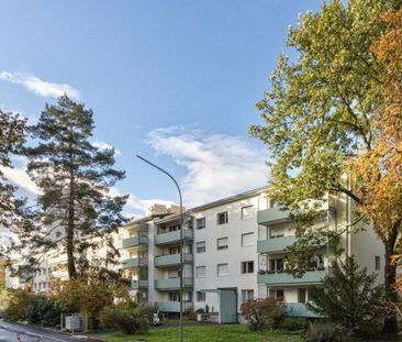 Good value for money near the Rhine - Foto 1