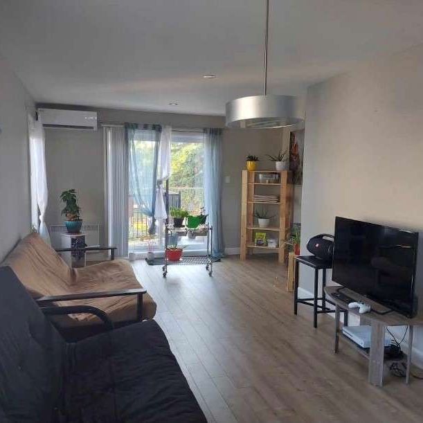 1043B Rang St-Ange - Photo 1