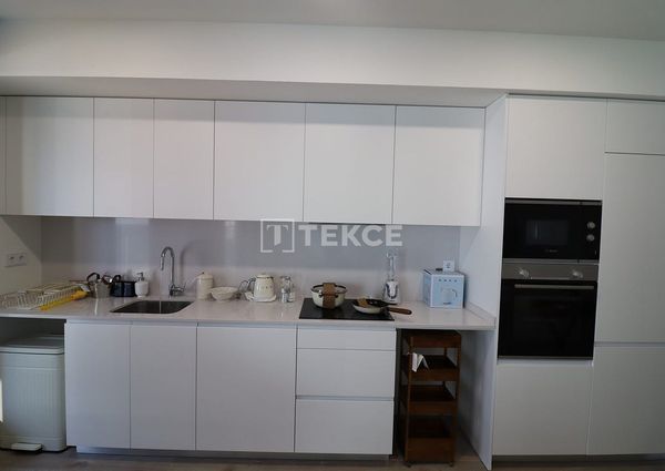 Badalona, La Morera, Barcelona, Catalonia 08918