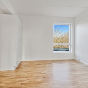 Hollænderen 8, 4. TV - Photo 2