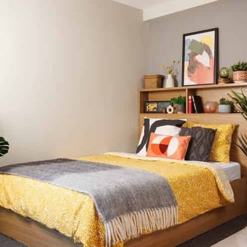 Large High Double Studio - Photo 1