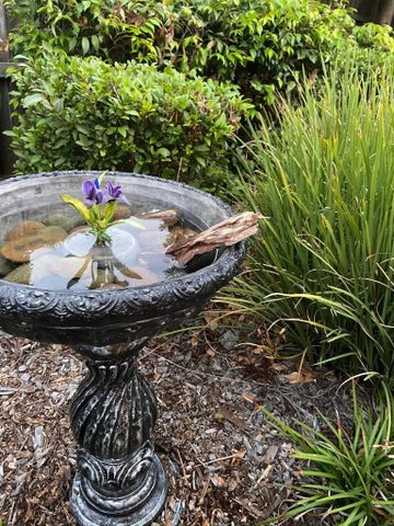 North Lakes - Photo 2