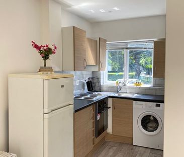 Studio Flat, Queensbury Road, HA0 - Photo 6