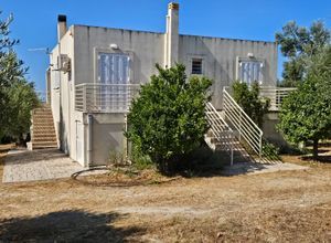 Μονοκατοικία για ενοικίαση - Νέστορας, - Photo 4