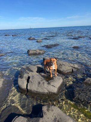 Altona North - Photo 1