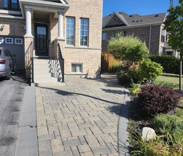 For Lease - 332 Luck Court Unit# Basement, Newmarket, Ontario - Photo 3