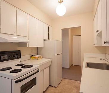 Holly Tree Apartments - 1 Bedroom - Photo 1