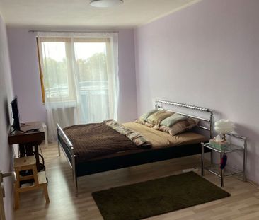 Pronájem bytu 2+kk • 55 m² bez realitkyU Pivovaru, Benešov - Benešo... - Photo 1