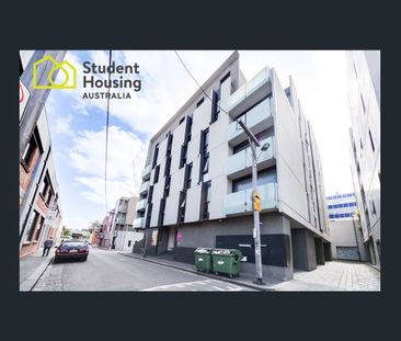 Melbourne Student House - Price Reduction! - Photo 4