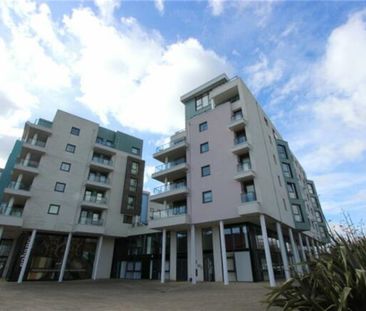 Cobalt Quarter, Ocean Village - Photo 4