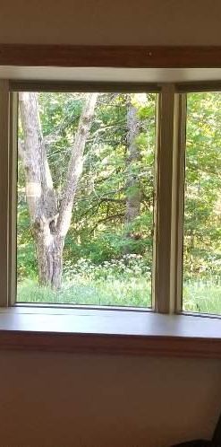 5 1/2 foyer tout inclus (wifi et hydro) terrain bordé d'un étang - Photo 1