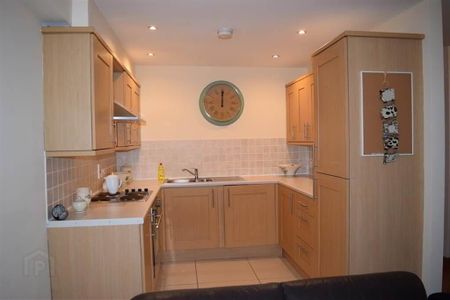 7a Olympia Drive, Belfast, BT12 6NG - Photo 5