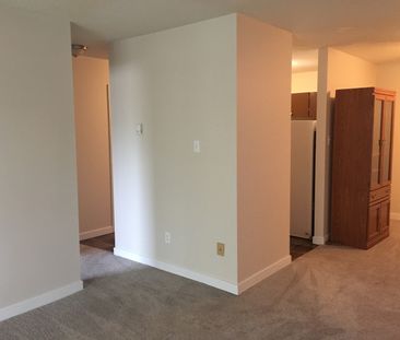 1 BEDROOM ON THE 3RD FLOOR!! DOWNTOWN RED DEER!! - Photo 2