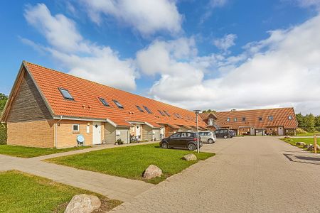 Moderniseret lejlighed i det attraktive Holluf Pile med udendørs repos samt gratis parkering. Perfekt som delebolig - Photo 3