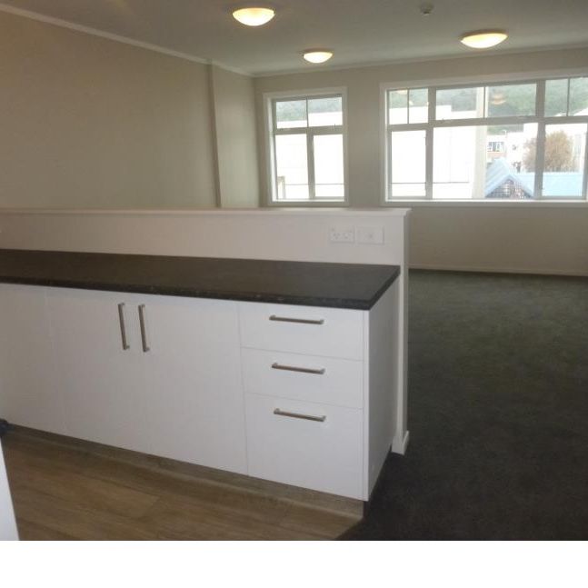 Central Lower Hutt - Photo 1