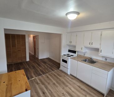 3 1/2 Mercier/Parc Bellerive - Photo 1