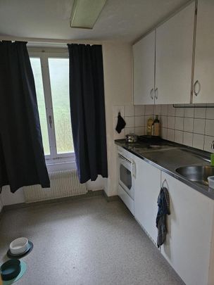 Gemütliche Wohnung in Rheinau - Photo 1