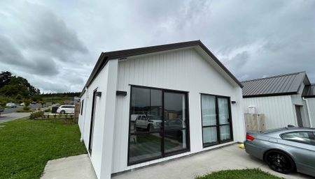 Brand new 4 Bedroom Home in Helensville! - Photo 4