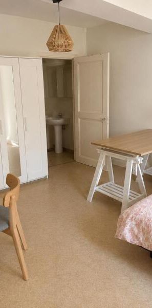 Location Appartement 1 pièce 27m² ORLEANS 45000 - Photo 2