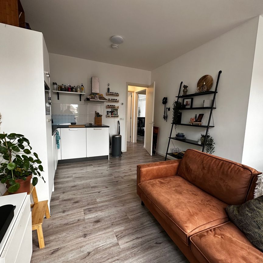 10a, Tuinbouwstraat, Noorderplantsoenbuurt, Oranjewijk, Oude wijken, Groningen, Nederland, 9717 JH, Nederland - Photo 1