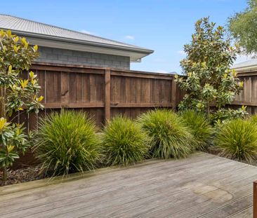 5/5 E Edgecumbe Street - Photo 4