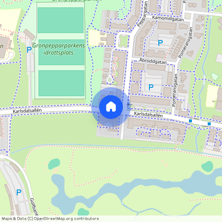 Örebro, Karldalsallén, 41, 70218