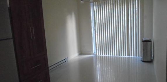 5 ½ rue Papineau 5 électros inclus Montréal LIBRE - Photo 2