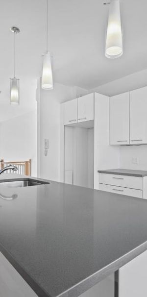 Maison 2016 à louer 3 cac Plateau-Mont-Royal Montréal - LIBRE - Photo 1