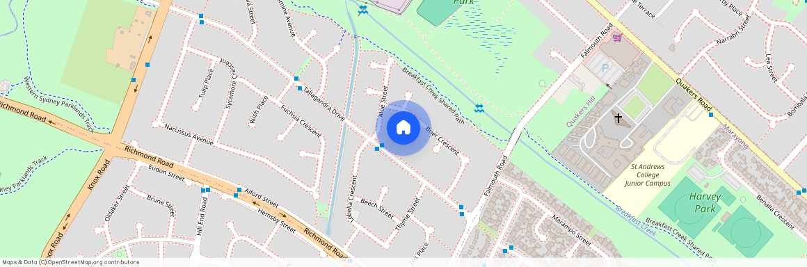 4 Mint Place, Quakers Hill NSW 2763