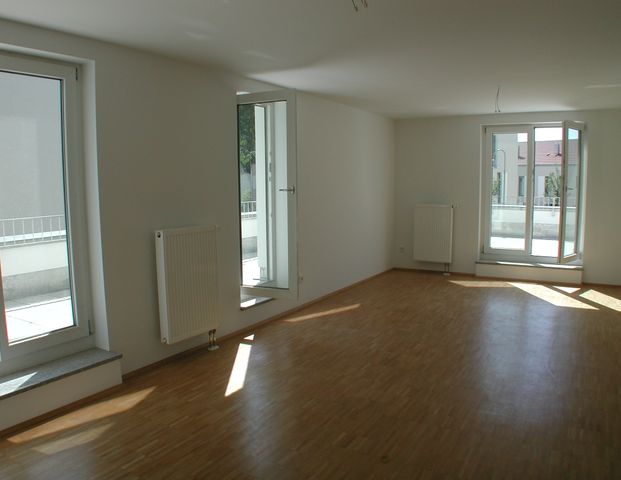 Stilvolle Dachterrassenwohnung in Dietersheim - Foto 1