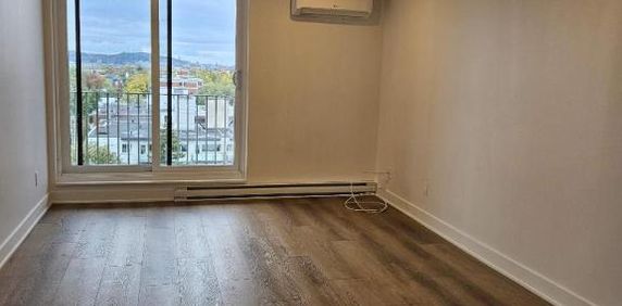 1 CH - 1 SDB - Montréal - $1,545 /mo - Photo 2