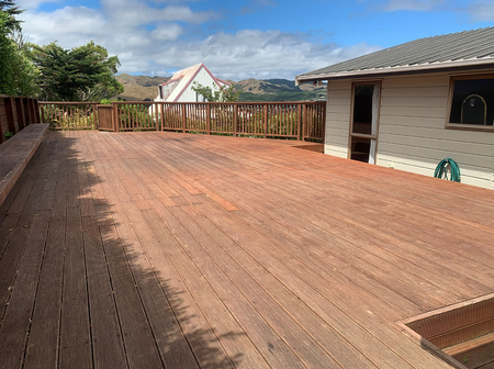 Family Sized Living in the Heart of Ascot Park - Photo 2