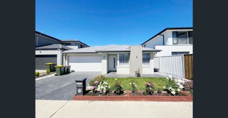 Modern Family Living with Energy Savings in a Growing Donnybrook Community - Photo 5