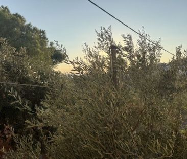 Διαμέρισμα για ενοικίαση Λαγονήσι (Καλύβια Θορικού) - Photo 1