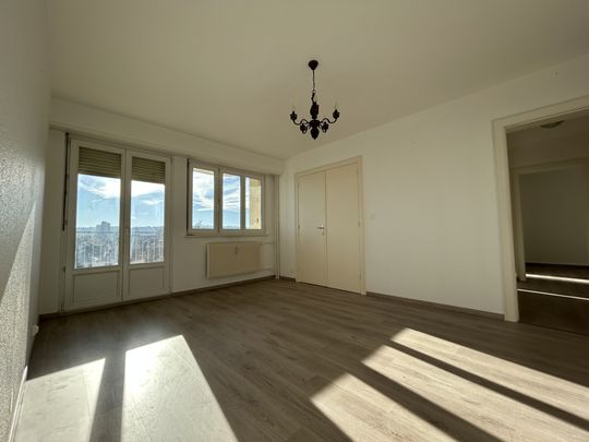 Location Appartement 3 pièces 79m² MULHOUSE 68200 - Photo 1