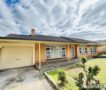 Spacious Family Home in Prime Rostrevor Location - Photo 5