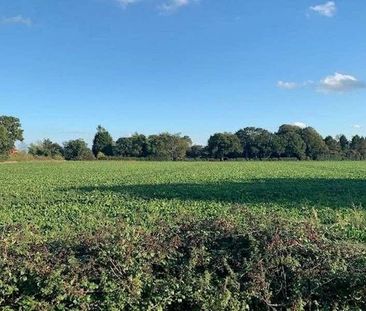 North Walsham, NR28 - Photo 5