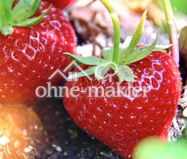 "Junges Paar aufgepasst! - Euer nächstes Kapitel beginnt hier!" - Photo 2