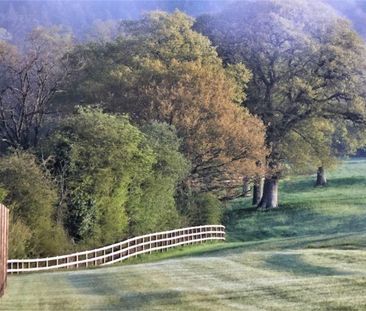 2 bedroom equestrian property to rent - Photo 4