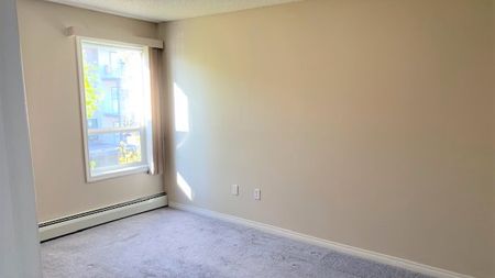 2 Bedroom Condo For Rent In Ellerslie/ Heat & Water Included! - Photo 5