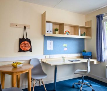 Studio to rent - Photo 3