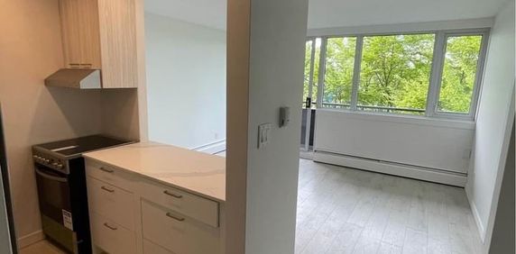 Camelia Court - Photo 2