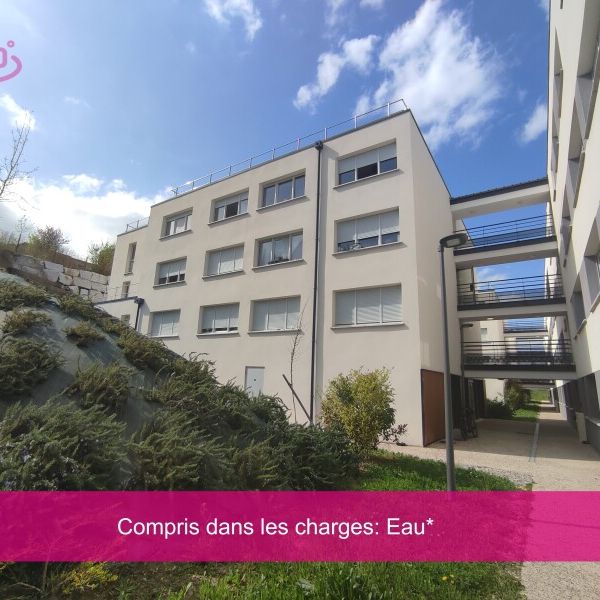 Location Appartement 1 pièce 19m² AUZEVILLE TOLOSANE 31320 - Photo 1